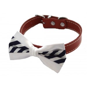 Papion catei alb c0007